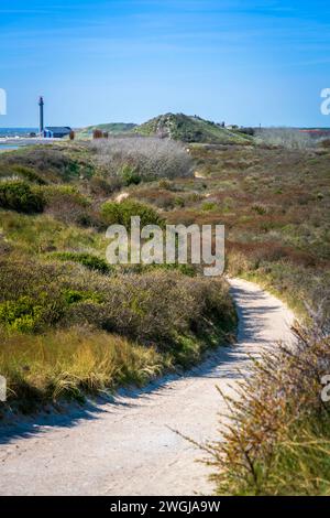 Un sentier sinueux serpente à travers les dunes herbeuses le long de la côte près de Westkapelle par un jour de ciel bleu clair, offrant un voyage tranquille au milieu de la nature Banque D'Images