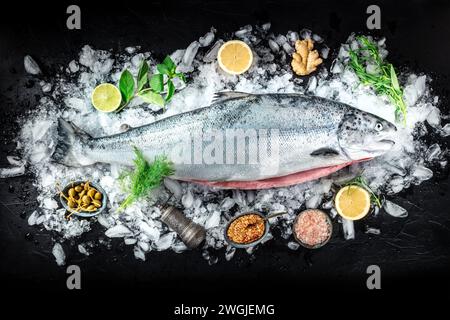 Saumon avec condiments. Poisson cru entier sur glace avec des citrons et des herbes, tiré du haut sur un fond sombre Banque D'Images