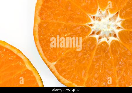 Plan studio de demi-coquilles oranges clémentine, qui sont une variété d'orange mandarine, affichées sur fond blanc Banque D'Images