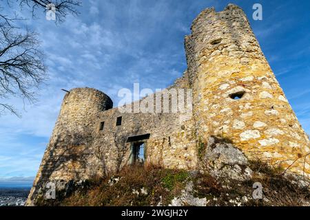 Les ruines du château de Dorneck sont situées dans la municipalité de Dornach, canton de Soleure en Suisse. C'est un site du patrimoine suisse de national Banque D'Images