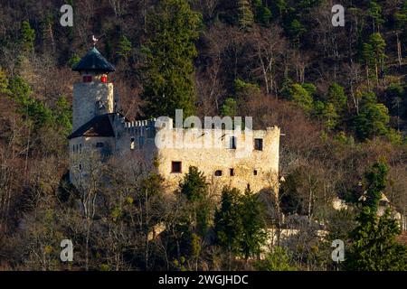 Château de Birseck (Burg Birseck), Arlesheim, Canton Bâle-Landschaft, Suisse. Le château de Birseck est l'un des quatre châteaux sur une pente appelée Birseck. Birse Banque D'Images