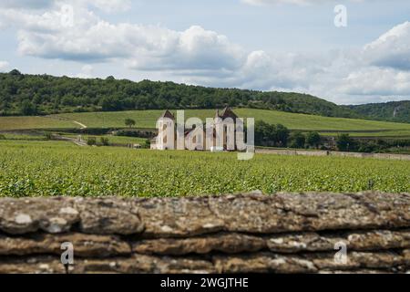 Bourgogne, France - 12 juin 2021 : Bourgogne château traditionnel cave avec vignoble dans la célèbre région viticole produisant les meilleurs vins du monde Banque D'Images