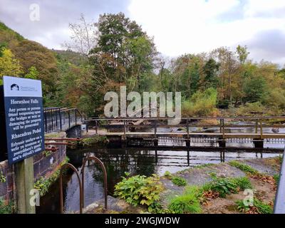 Glisser le long du canal Llangollen à travers la vallée de la Dee dans le nord du pays de Galles dans un bateau étroit à fond plat à une vitesse maximale de 4 miles / heure est l'une des vacances les plus relaxantes et mémorables. L'aqueduc est l'un des plus grands exploits d'ingénierie sur le réseau de canaux et un bateau étroit, (un engin spécialisé pour opérer sur les canaux étroits d'Angleterre, d'Écosse et du pays de Galles) est la meilleure façon de le naviguer. Une section de 18 km du canal allant du pont Gledrid près de Rhoswiel aux chutes Horseshoe, qui comprend l'aqueduc de Chirk et l'aqueduc de Pontcysyllte, a été déclarée patrimoine mondial S. Banque D'Images