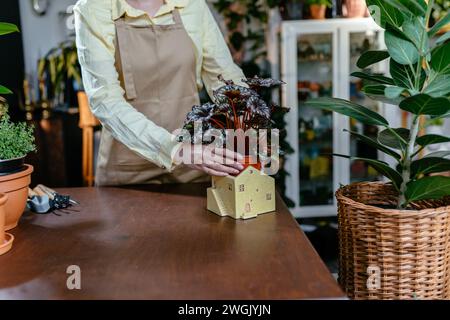 Gros plan botaniste femme entrepreneur propriétaire de magasin admirant et prenant soin de la plante dans un pot tout en étant assis dans son lieu de travail dans le magasin de fleurs. Banque D'Images