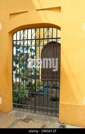 Vue à travers la porte en fer forgé sur le patio avec de nombreux pots de fleurs sur le mur, Cordoue, Espagne Banque D'Images