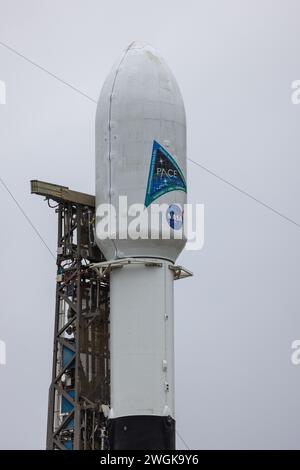 Cap Canaveral, États-Unis. 05th Feb, 2024. SpaceX et la NASA prêtes à lancer le satellite PACE plancton aérosol Cloud Ocean Ecosystem à 1h33 mardi 5 février 2024. Décollage de SLC-40 Cape Canaveral Florida Brevard County USA (photo de Scott Schilke/Sipa USA) crédit : Sipa USA/Alamy Live News Banque D'Images