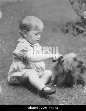 Photographie d'un jeune William de Gloucester toilettant son chien Zalie, prise en 1943. Guillaume, neveu du monarque régnant, le roi George VI, et cousin Germain de la future reine Elizabeth II Cette image offre un aperçu de la vie personnelle du jeune prince, pendant la seconde Guerre mondiale. Banque D'Images