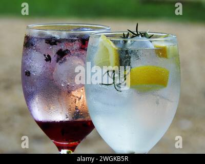 Boissons rafraîchissantes gin tonic avec hibiscus et sirop d'hibiscus, et gin tonic avec citron et romarin Banque D'Images