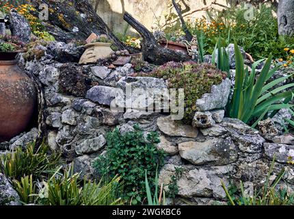 Soucis (Calendula officinalis), lys (Iris) et immortelles (Sempervivum) dans le patio d'une maison de ville. Plan détaillé dans le planteur en pierre. Banque D'Images