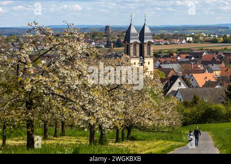 Cerisiers fleuris dans le village Ockstadt, une partie de la ville Friedberg, Hesse, Allemagne, Europe, avec vue sur l'église paroissiale catholique St Jacob Banque D'Images