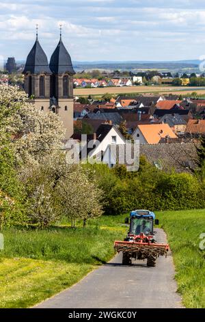 Cerisiers fleuris dans le village Ockstadt, une partie de la ville Friedberg, Hesse, Allemagne, Europe, avec vue sur l'église paroissiale catholique St Jacob Banque D'Images