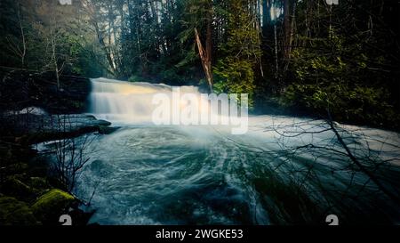 Une chute d'eau de la rivière Millstone trouvée profondément à l'intérieur du parc Bowen, situé à Nanaimo, Colombie-Britannique, Canada Banque D'Images