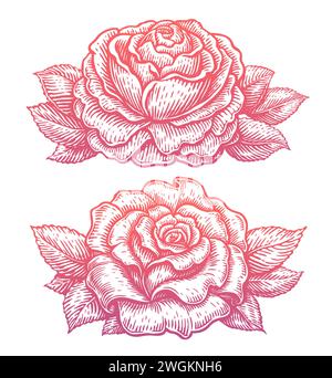 Fleur de rose avec des feuilles dessinées à la main dans le style croquis. Motif floral. Illustration vectorielle Illustration de Vecteur