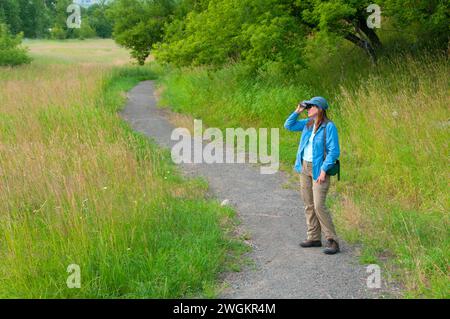 Sentier de randonnée, Iwetemlaykin State Park, le Hells Canyon National Scenic Byway, Oregon Banque D'Images