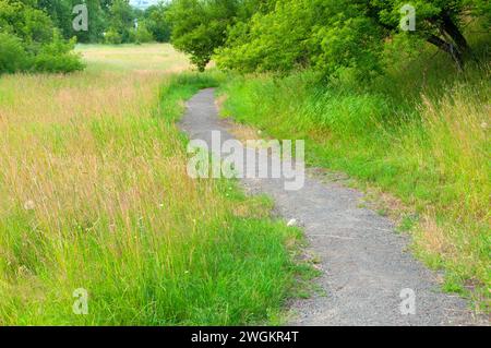 Sentier de randonnée, Iwetemlaykin State Park, le Hells Canyon National Scenic Byway, Oregon Banque D'Images