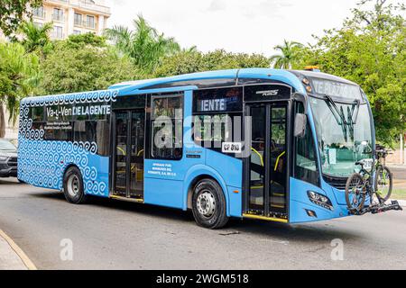 Merida Mexique, Zona Paseo Montejo Centro, Avenida Colon, bus de transport public, signe d'information, promotion de la promotion, latin hispanique mexicain Lati Banque D'Images