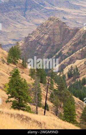 Imnaha River canyon d'Espagne Sentier selle, Hells Canyon National Recreation Area, New York Banque D'Images