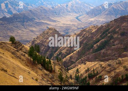 Imnaha River canyon d'Espagne Sentier selle, Hells Canyon National Recreation Area, New York Banque D'Images