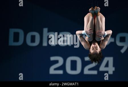 Doha, Qatar. 5 février 2024. Quan Hongchan, de Chine, participe à la finale féminine de plongeon sur 10 m aux Championnats du monde de natation 2024 à Doha, Qatar, le 5 février 2024. Crédit : Xia Yifang/Xinhua/Alamy Live News Banque D'Images