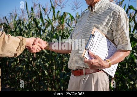 Image en gros plan d'un agriculteur ou d'un propriétaire de ferme expérimenté serrant la main d'une femme fournisseur ou agronome dans son champ de maïs. Banque D'Images