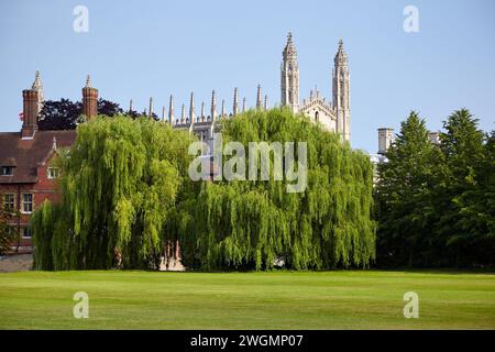 La vue des tours de la chapelle du collège King's et des maisons résidentielles depuis la pelouse Brewhouse en face du collège New court of Trinity. Cambridge. Env Banque D'Images