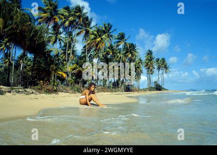 PORTO RICO PORTO RICO cheveux foncés femme attravtive assis sur le palmier de plage en front de plage, ciel bleu vacances d'été corps sain Banque D'Images