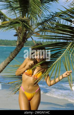 cheveux jolis cheveux foncés jeune femme debout entre les palmiers regardant la caméra avant vacances d'été ciel bleu et mer sur fond Banque D'Images