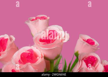 Gros plan bouquet de roses roses sur fond rose Banque D'Images