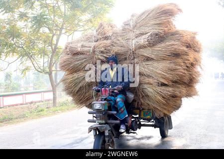 Tangail, Tangail, Bangladesh. 6 février 2024. Un chauffeur à Tangail charge son fourgon trois roues avec de la paille de paddy au marché pour la vente. La paille de paddy est un sous-produit pour les agriculteurs et ils la vendent aux grossistes à un prix de 5 $ à 7 $ par 100 kg. La paille est ensuite vendue par les grossistes entre 8 $ et 10 $. Les agriculteurs utilisent le foin comme nourriture et comme litière pour leur bétail. La paille est utilisée à diverses autres fins, y compris les auvents de maison et une forme de biocarburant. (Crédit image : © Syed Mahabubul Kader/ZUMA Press Wire) USAGE ÉDITORIAL SEULEMENT! Non destiné à UN USAGE commercial ! Crédit : ZUMA Press, Inc/Alamy Live News Banque D'Images