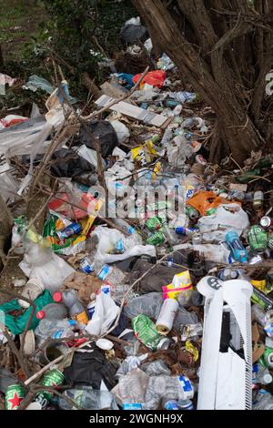 Bedfont, Royaume-Uni. 5 février 2024. Litière laissée dans un ravin à Bedfont dans le quartier londonien de Hounslow. Crédit : Maureen McLean/Alamy Banque D'Images