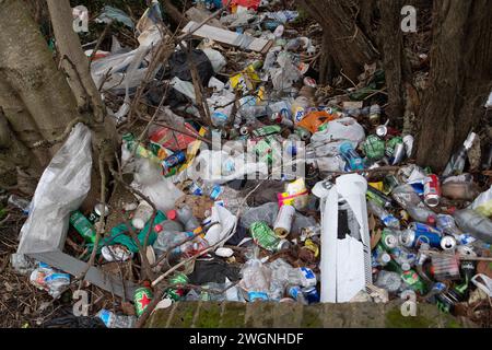 Bedfont, Royaume-Uni. 5 février 2024. Litière laissée dans un ravin à Bedfont dans le quartier londonien de Hounslow. Crédit : Maureen McLean/Alamy Banque D'Images