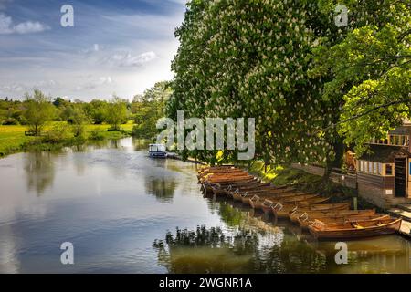 Royaume-Uni, Angleterre, Essex, Dedham, bateaux à rames sur la rivière Stour au Boatyard Café Banque D'Images