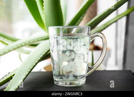 Focus sélectif sur la boisson de jus d'aloe vera avec des morceaux de chair de fruit flottant à l'intérieur. Boisson maison saine avec croissance de la plante d'aloe vera. Banque D'Images