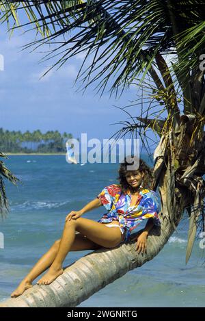 PORTO RICO Porto rico cheveux noirs attrayants jeune femme prenant le soleil sur le front de palmier dans la plage, fond de ciel bleu vacances d'été corps sain Banque D'Images