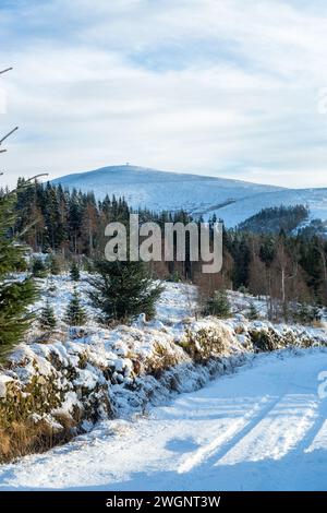 Marcher le long du sentier Cateran regardant vers Mount Blair, Glen Shee, Perthshire, Écosse Banque D'Images