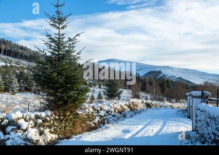 Marcher le long du sentier Cateran regardant vers Mount Blair, Glen Shee, Perthshire, Écosse Banque D'Images