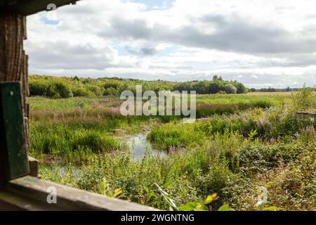 Réserve naturelle Fairburn ings RSPB Banque D'Images