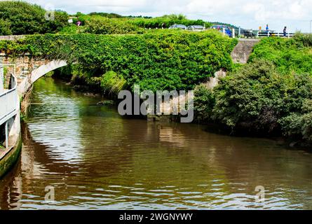 Gorey, Irlande - 23 août 2017. Petite rivière Banoge à Gorey in Co. Wexford, Irlande Banque D'Images