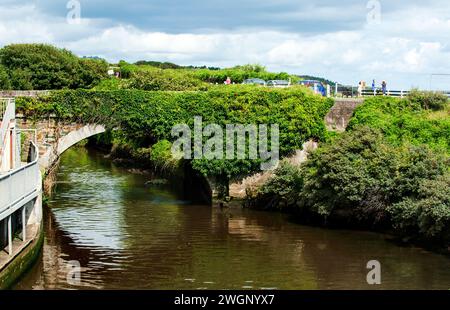 Gorey, Irlande - 23 août 2017. Petit port avec yachts à Gorey in Co. Wexford, Irlande Banque D'Images