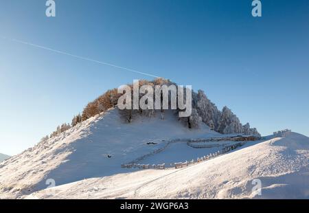Flanc de montagne enneigé avec des sapins et une clôture en bois, à la station de ski d'Anilio, près du village de Metsovo, dans la région de l'Épire, au nord de la Grèce, en Europe. Banque D'Images