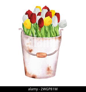 Illustration d'aquarelle dessinée à la main. Seau en métal rouillé avec un bouquet de tulipes colorées rouges, blanches et jaunes Banque D'Images