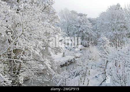 Forêt enneigée par un ruisseau dans la région rurale de Cumbria, Angleterre, après de fortes chutes de neige hivernales pendant la nuit. Banque D'Images