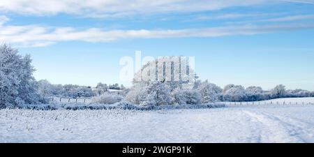 Vue à travers les champs dans la campagne de Cumbria, en Angleterre, après de fortes chutes de neige pendant la nuit, lorsque le ciel s'est dégagé pour laisser un après-midi ensoleillé et un ciel bleu. Banque D'Images