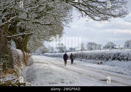 Deux hommes marchant avec leurs chiens le long d'une voie de campagne tranquille dans les terres agricoles dans la région rurale de Cumbria après les chutes de neige hivernales, des arbres couverts de neige bordant la haie Banque D'Images