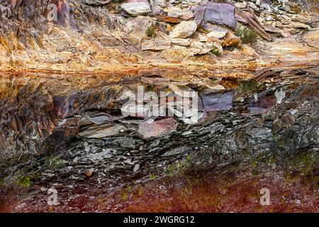 Les eaux de Rio Tinto créent un reflet étonnant de la flore teintée de rouge à sa surface, une scène naturelle mais surréaliste Banque D'Images