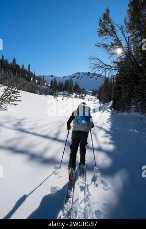 Skieur dans le bassin anéroïde supérieur, Wallowa Mountains, Oregon. Banque D'Images