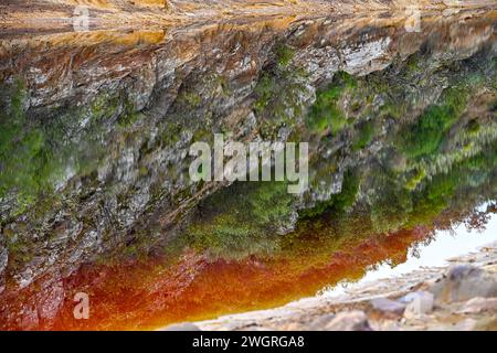 Les eaux de Rio Tinto créent un reflet étonnant de la flore teintée de rouge à sa surface, une scène naturelle mais surréaliste Banque D'Images