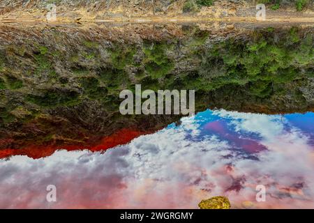 Les eaux de Rio Tinto créent un reflet étonnant de la flore teintée de rouge à sa surface, une scène naturelle mais surréaliste Banque D'Images