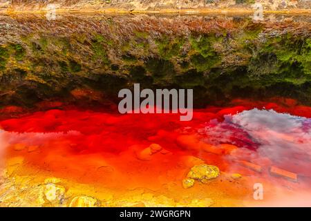 Les eaux de Rio Tinto créent un reflet étonnant de la flore teintée de rouge à sa surface, une scène naturelle mais surréaliste Banque D'Images