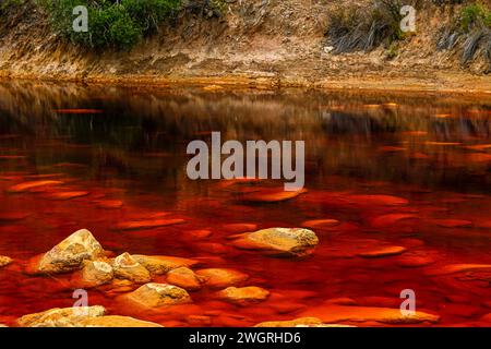 Les eaux riches de couleur rouille de Rio Tinto reflètent le paysage verdoyant des rives dans un cadre serein Banque D'Images